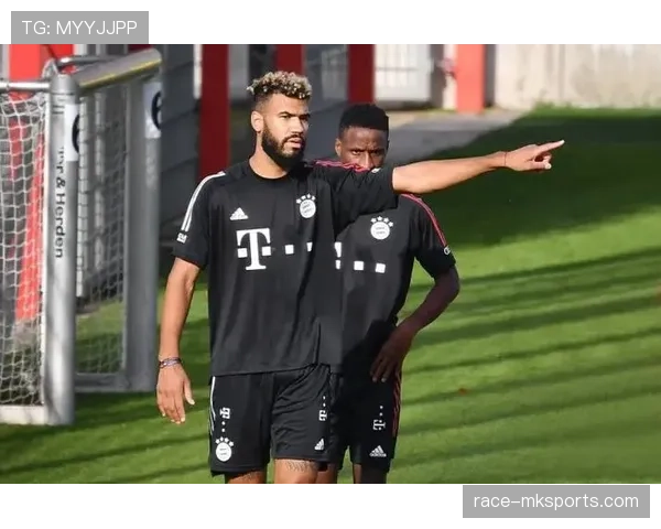 德甲转会新闻评论